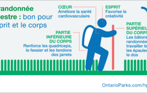 REPRISE DES RANDONNÉES